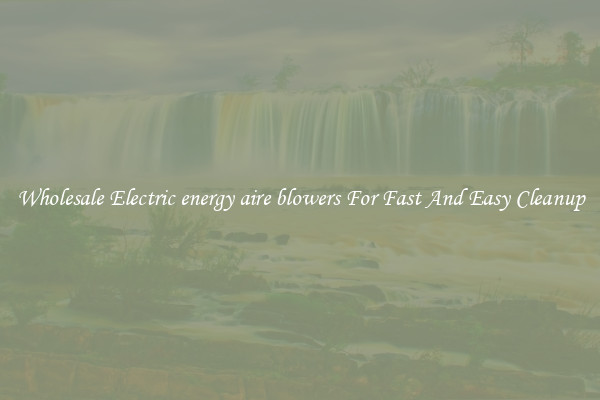 Wholesale Electric energy aire blowers For Fast And Easy Cleanup
