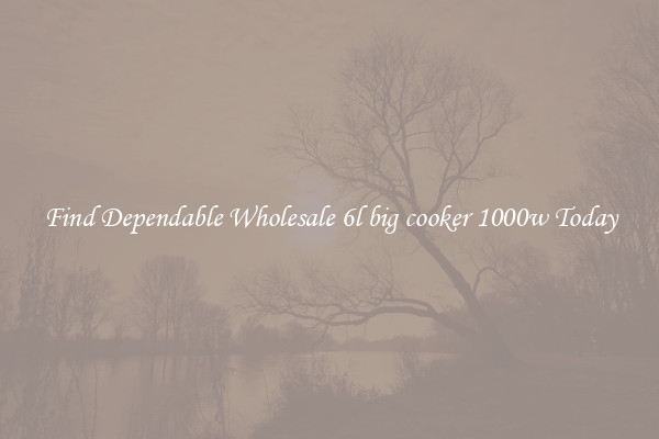 Find Dependable Wholesale 6l big cooker 1000w Today