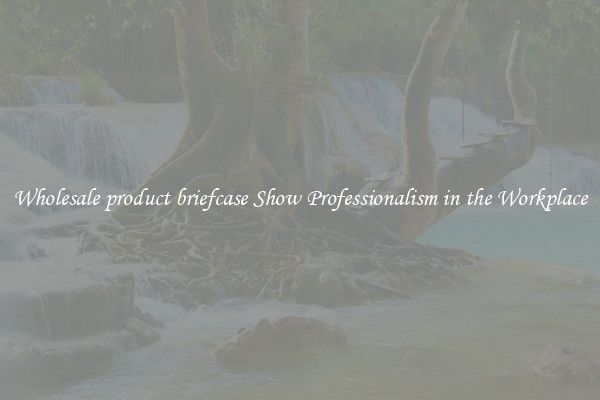 Wholesale product briefcase Show Professionalism in the Workplace