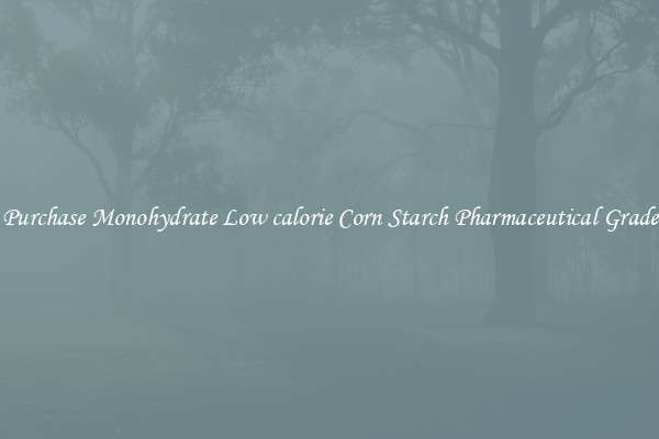 Purchase Monohydrate Low calorie Corn Starch Pharmaceutical Grade