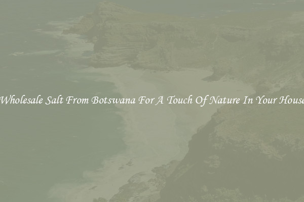 Wholesale Salt From Botswana For A Touch Of Nature In Your House