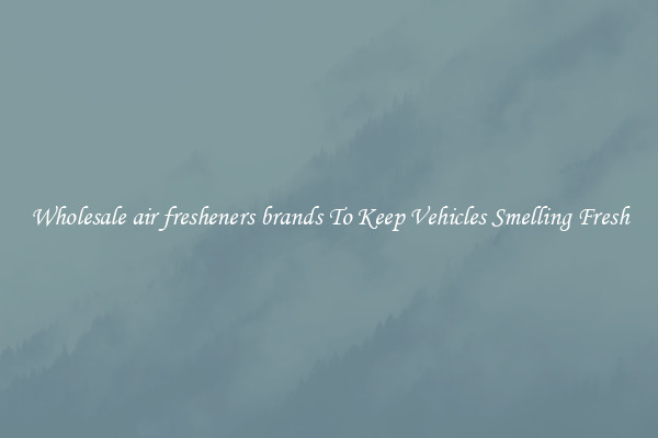 Wholesale air fresheners brands To Keep Vehicles Smelling Fresh