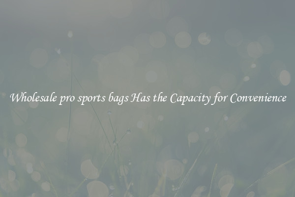 Wholesale pro sports bags Has the Capacity for Convenience