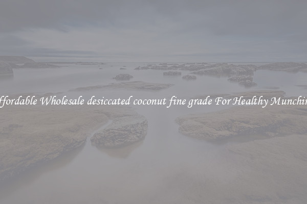 Affordable Wholesale desiccated coconut fine grade For Healthy Munching 