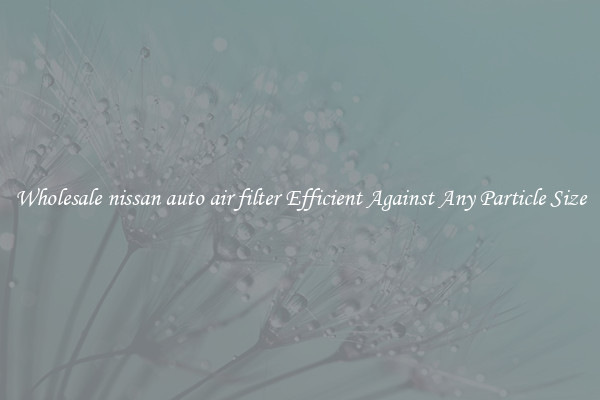 Wholesale nissan auto air filter Efficient Against Any Particle Size