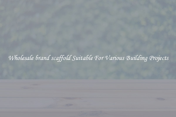 Wholesale brand scaffold Suitable For Various Building Projects