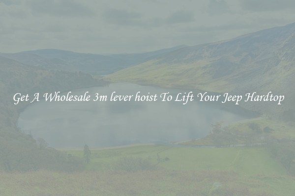 Get A Wholesale 3m lever hoist To Lift Your Jeep Hardtop