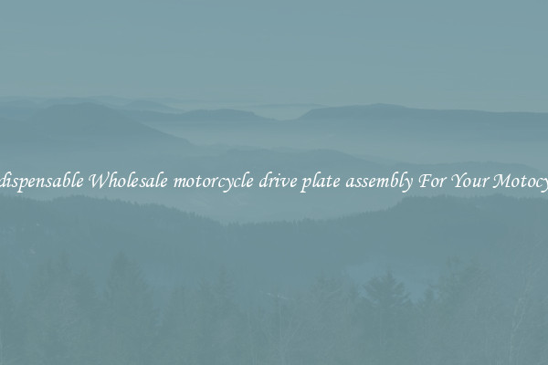 Indispensable Wholesale motorcycle drive plate assembly For Your Motocycle
