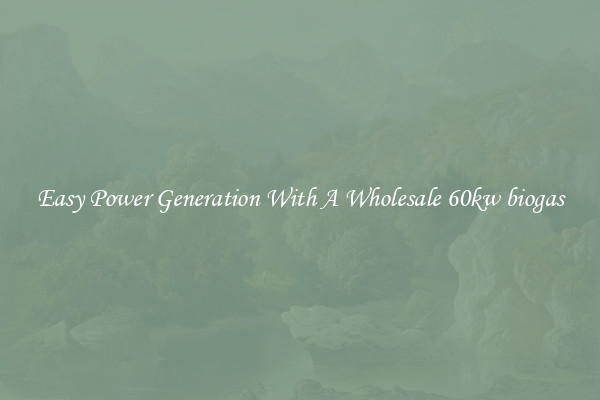 Easy Power Generation With A Wholesale 60kw biogas