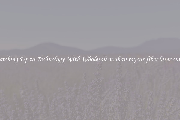 Matching Up to Technology With Wholesale wuhan raycus fiber laser cutter