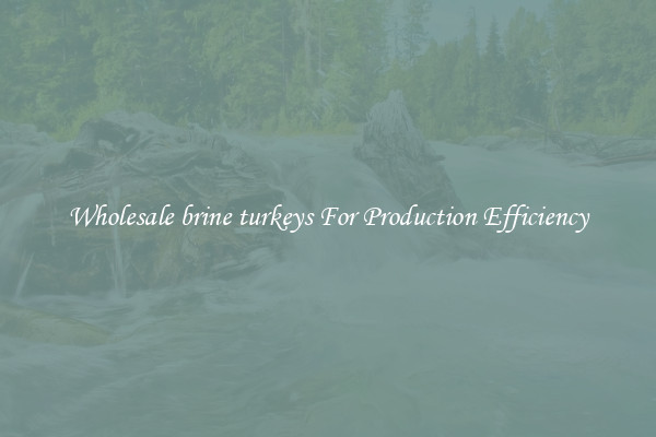 Wholesale brine turkeys For Production Efficiency