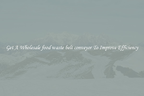Get A Wholesale food waste belt conveyor To Improve Efficiency