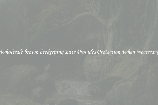 Wholesale brown beekeeping suits Provides Protection When Necessary