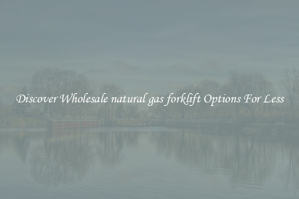 Discover Wholesale natural gas forklift Options For Less
