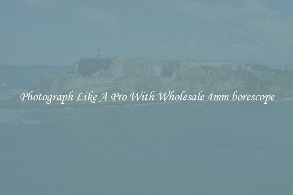 Photograph Like A Pro With Wholesale 4mm borescope