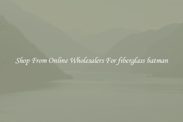 Shop From Online Wholesalers For fiberglass batman