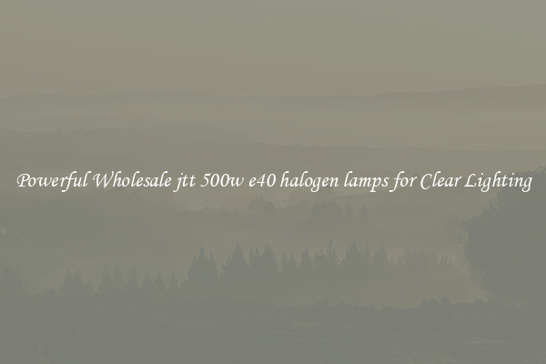 Powerful Wholesale jtt 500w e40 halogen lamps for Clear Lighting