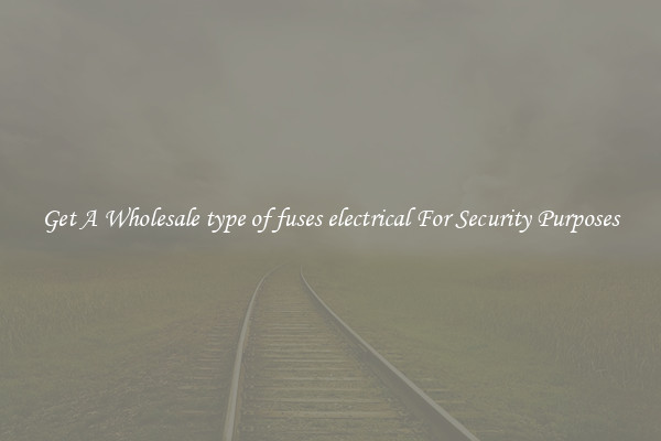 Get A Wholesale type of fuses electrical For Security Purposes