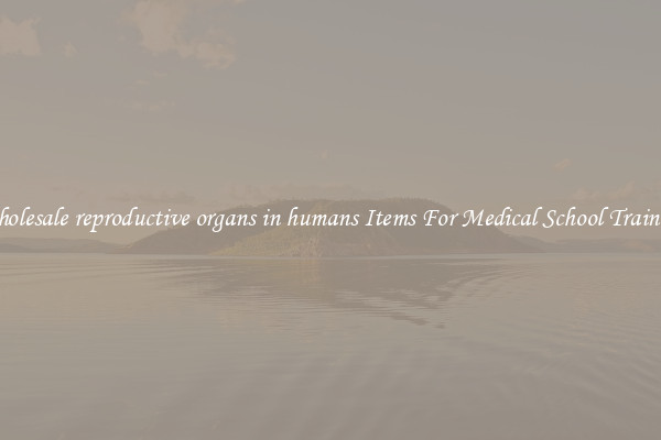 Wholesale reproductive organs in humans Items For Medical School Training