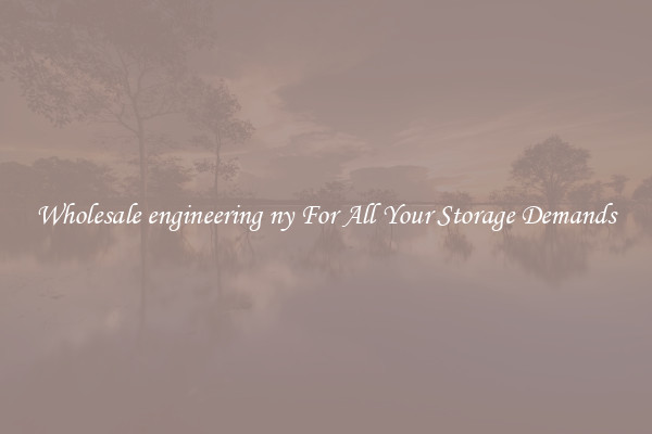 Wholesale engineering ny For All Your Storage Demands