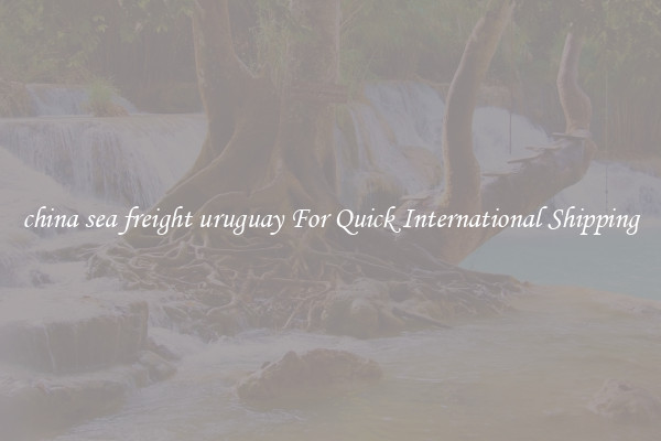 china sea freight uruguay For Quick International Shipping