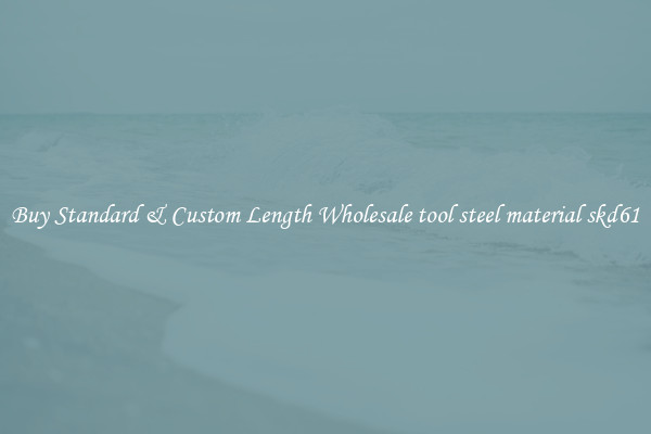 Buy Standard & Custom Length Wholesale tool steel material skd61