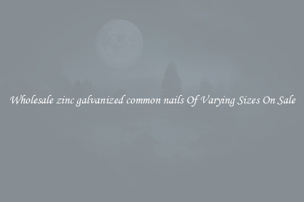 Wholesale zinc galvanized common nails Of Varying Sizes On Sale